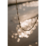 Essential Chain Necklace - Necklace