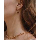 Twig and Dusk Earrings Bundle - Earrings